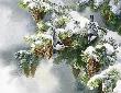 First Snowfall by Susan Bourdet Limited Edition Print