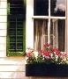 Window Box by Edward Gordon Limited Edition Print