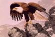 Bicentennial Eagle by Guy Coheleach Pricing Limited Edition Art Print