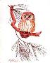 Saw Whet Owl by Guy Coheleach Limited Edition Print