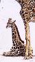 Giraffe Knoxv by Guy Coheleach Limited Edition Pricing Art Print