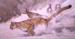 Rocky Mtn Snow by Guy Coheleach Limited Edition Print
