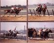 Belmont Stakes by Guy Coheleach Limited Edition Pricing Art Print