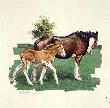 Bud Clydes Mare Foal by Guy Coheleach Limited Edition Pricing Art Print