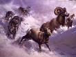 Mutton Chase by Guy Coheleach Limited Edition Print