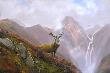 In Highlands by Michael Coleman Limited Edition Print