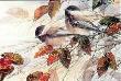 Autumn Chickadee by Joe Garcia Limited Edition Pricing Art Print