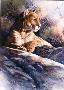 Waiting Mtn Lion by Joe Garcia Limited Edition Print