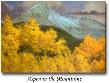 Aspen In Mountains by Shannon Stirnweis Limited Edition Pricing Art Print