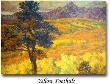 Yellow Foothills by Shannon Stirnweis Limited Edition Print