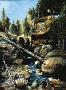 Wolf Creek by Gary P Miller Limited Edition Print
