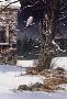 Midnight Visitor Owl by Fred Swan Limited Edition Print