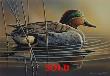 Green Winged Teal by Bruce Langton Limited Edition Pricing Art Print