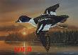 Barrows Goldeneye by Bruce Langton Limited Edition Print