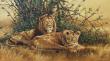 In The Shade Lions by Bruce Langton Limited Edition Print