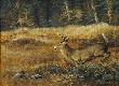 Among The Fields Deer by Bruce Langton Limited Edition Print