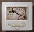 Taking Flight Hc by Bruce Langton Limited Edition Print