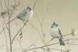 Titmouse Pair by Larry Zach Limited Edition Pricing Art Print