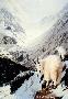 Mountain Goats by Ed Tussey Limited Edition Pricing Art Print