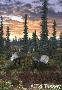 Caribou Dusk by Ed Tussey Limited Edition Print