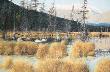 Tern Lake Alaska by Ed Tussey Limited Edition Print