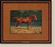 Thats Horse Sorr by Chris Cummings Limited Edition Print