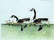 Canada Geese Cls by Larry Martin Limited Edition Print