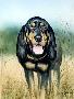 Smiling Hound Cls by Larry Martin Limited Edition Print