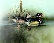 Wood Ducks St by Larry Martin Limited Edition Print