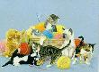 Yarn Party by Linda Picken Limited Edition Print