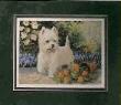 Westie by Linda Picken Limited Edition Pricing Art Print