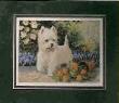 Westie by Linda Picken Limited Edition Print