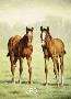 Heirs Apparent by Jeanne Filler Scott Limited Edition Pricing Art Print