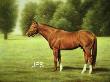 Secretariat by Jeanne Filler Scott Limited Edition Pricing Art Print