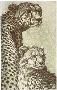 Cheetah Mothr Cub by Dennis Curry Limited Edition Pricing Art Print