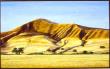 Golden Hills by Dennis Curry Limited Edition Pricing Art Print