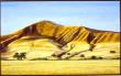 Golden Hills by Dennis Curry Limited Edition Print