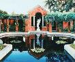 Reflecting Pool by Patricia Bourque Limited Edition Print