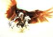 Rushing War Eagle by Bev Doolittle Limited Edition Pricing Art Print