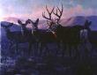 Evening Glow Mules by Lee Cable Limited Edition Print