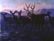 Evening Glow Mules by Lee Cable Limited Edition Pricing Art Print