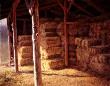 Hay Shed by Lee Cable Limited Edition Print