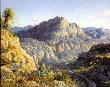 Big Bend 4 Faces Tx by Larry Dyke Limited Edition Print