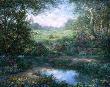 Marthas Garden by Larry Dyke Limited Edition Print