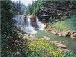 Waterfall Uncnvs by Larry Dyke Limited Edition Print