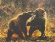 Grizzly Wrestl by Jay J Johnson Limited Edition Print
