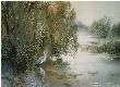 Light In Willows by Nita Engle Limited Edition Pricing Art Print