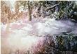 Melting Into Spring by Nita Engle Limited Edition Print