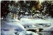 Deep Woods Winter by Nita Engle Limited Edition Print