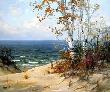 Autumn Dunes by Charles Vickery Limited Edition Pricing Art Print